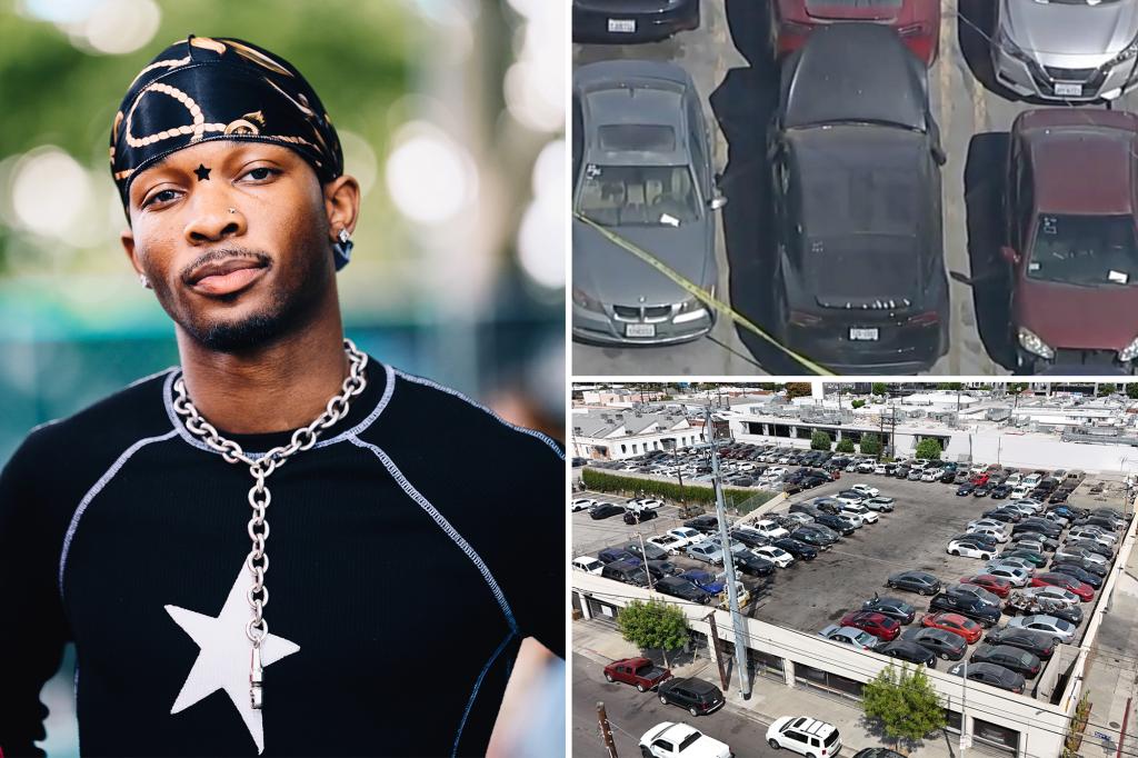 Identified dismembered body discovered in abandoned Tesla of singer D4vd