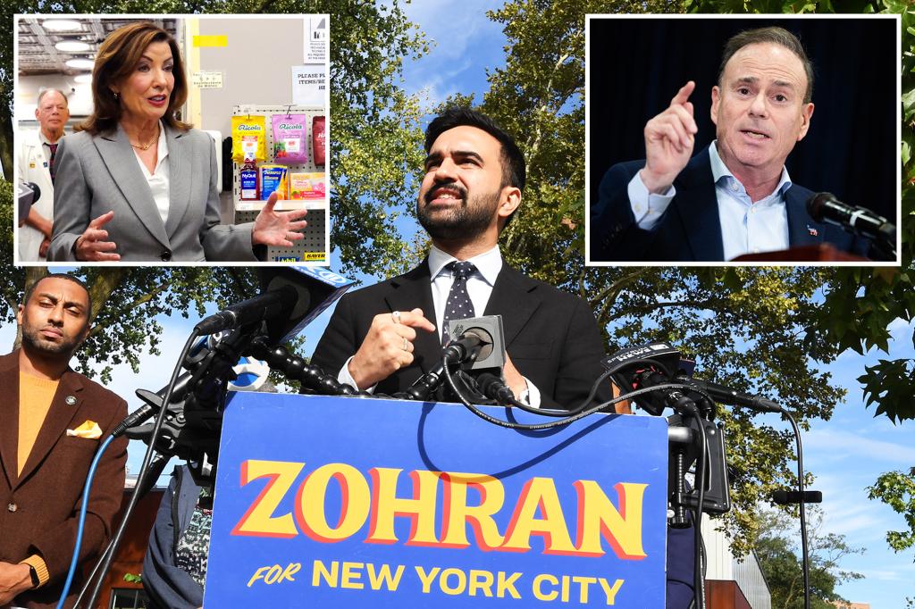 Influential NY Democratic Party Chair Jay Jacobs will not support Zohran Mamdani and may resign following Hochul's surprising endorsement, according to sources.