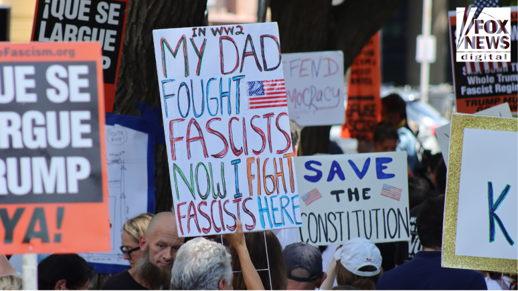 Jeffery Mead alerts that Democrats' language gives a 'green light for violence'