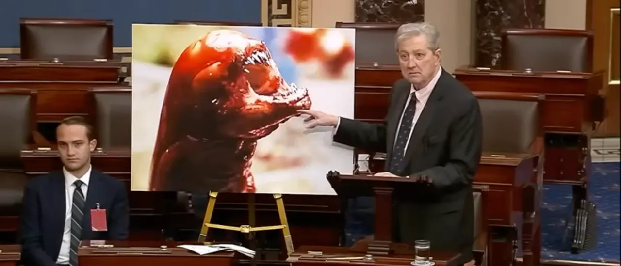 John Kennedy Raises Concerns About Radioactive Shrimp That ‘Could Make You An Alien’