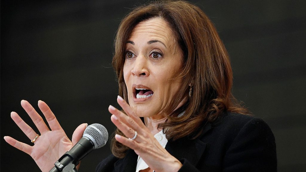 Kamala Harris attributes 2024 election loss to insufficient time on 'The View'