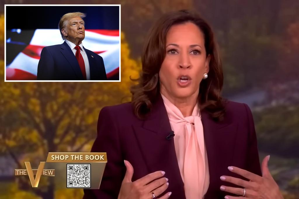 Kamala Harris says she 'didn't have enough time' to defeat Trump in the 2024 election