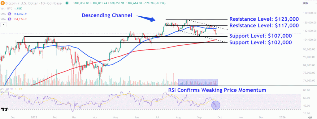 Keep an Eye on Important Bitcoin Price Points After Cryptocurrency Falls Under $110,000