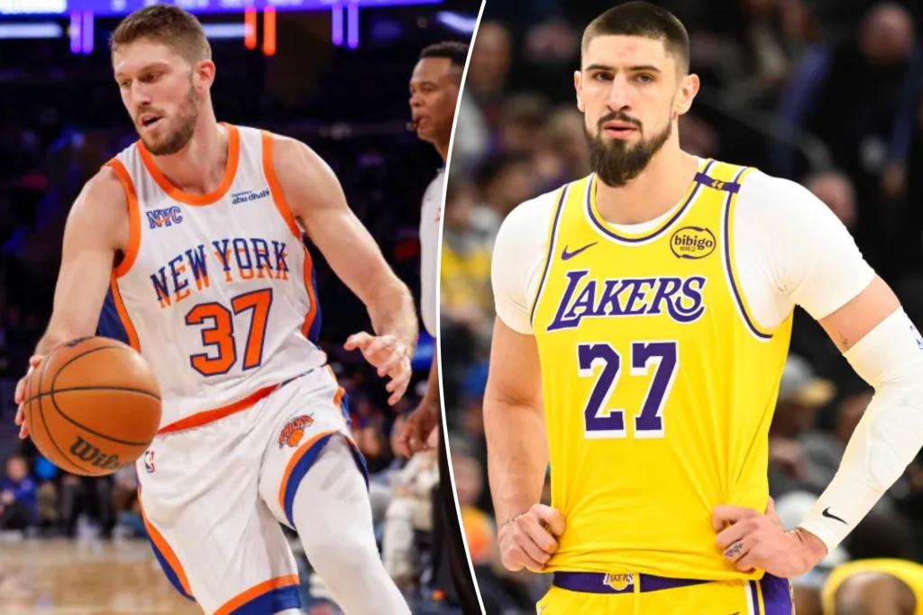 Knicks add Matt Ryan and Alex Len for roster competition