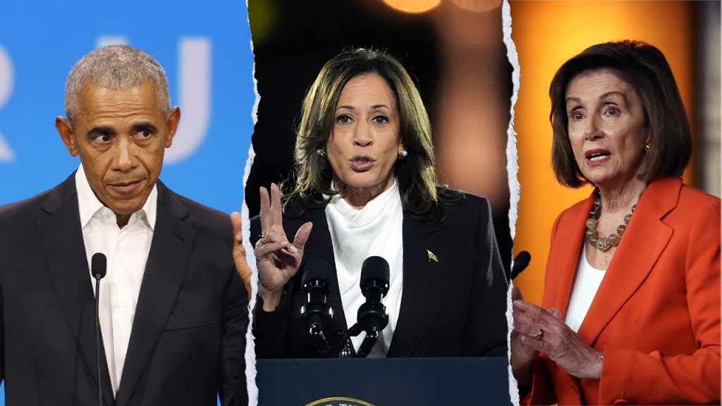 Leading Democrats held back from supporting Harris in her latest 2024 campaign book.