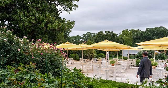 Leading Tech Leaders to Have Dinner with Trump in Updated Rose Garden