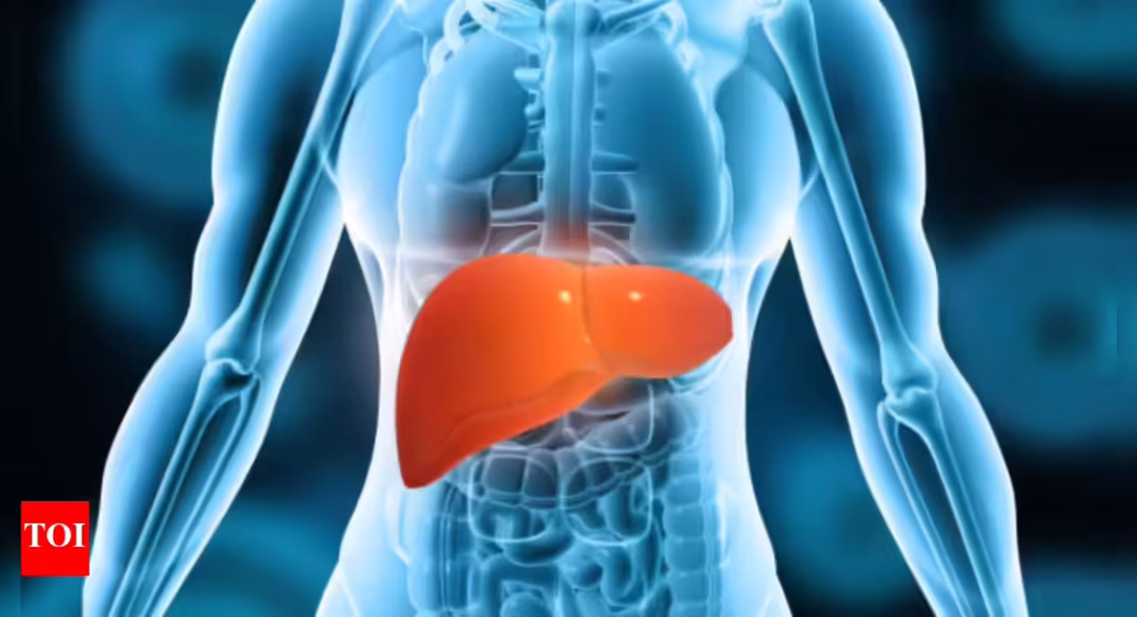 Liver Health: Even after stopping alcohol, the liver may struggle to heal on its own, and scientists clarify why excessive drinking hinders recovery.