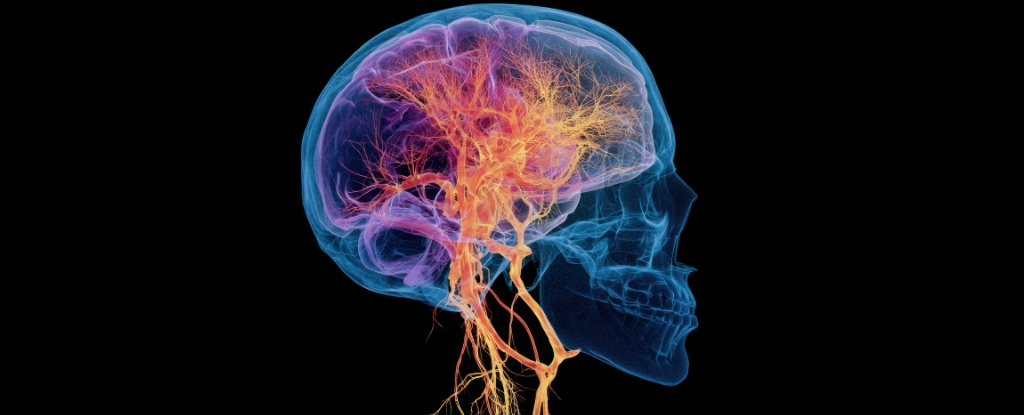 Long-Term Insomnia Might Cause Brain Changes That Lead to Dementia