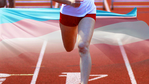 Malcolm Gladwell acknowledges he was intimidated in the discussion about trans athletes.