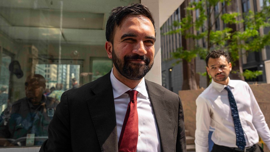 Mamdani enlists a star from 'Gilded Age' to express the 'freakout' response he received from New York's wealthy elite.