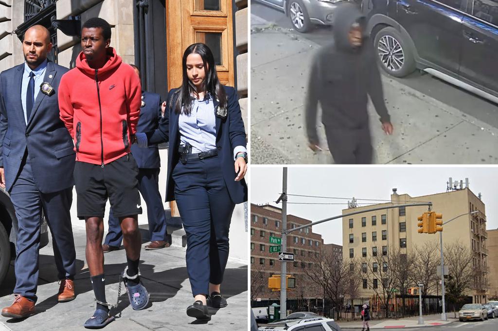 Man who assaulted teenager on NYC park bench is caught by observant police.