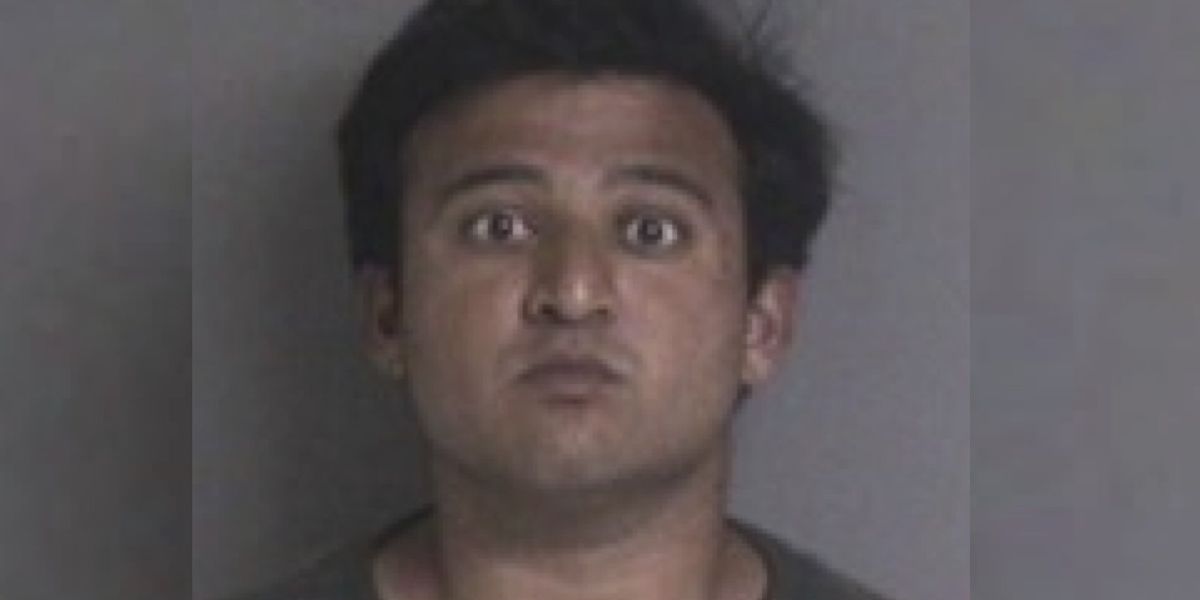 Man who fatally stabbed elderly man in the neck allegedly chose his victim for being a pedophile, police report