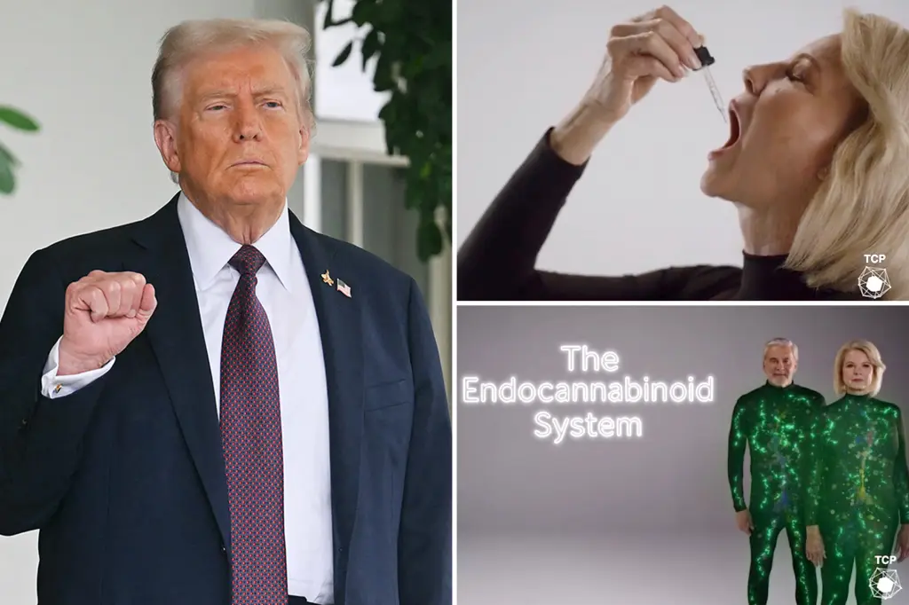 Marijuana stocks rise following Trump's support for Medicare coverage of CBD