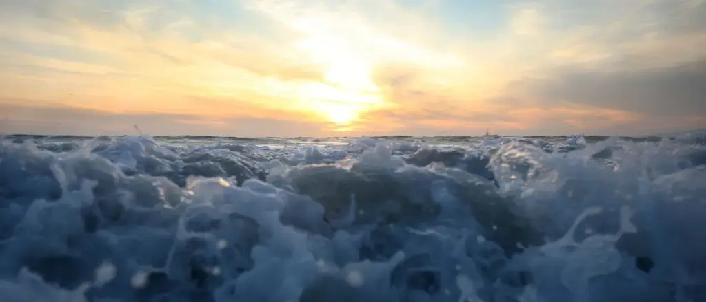 Media Manipulation Against Climate Scientists