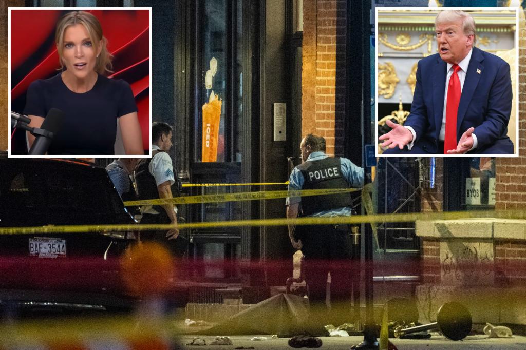 Megyn Kelly parts ways with Trump regarding the deployment of troops in Chicago.