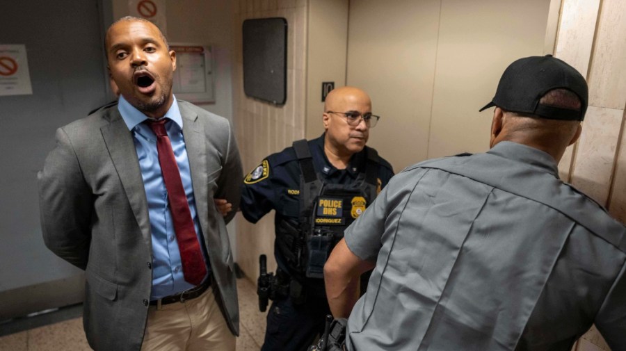 Multiple elected officials taken into custody at New York protest against ICE