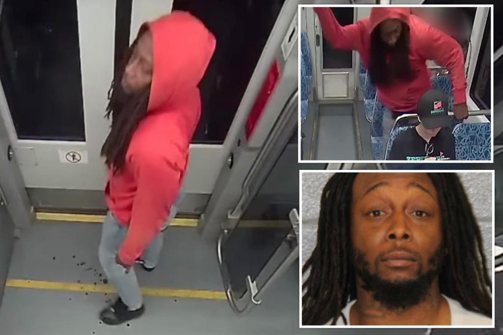 Murder suspect Iryna Zarutska was released on no-cash bail despite a criminal record