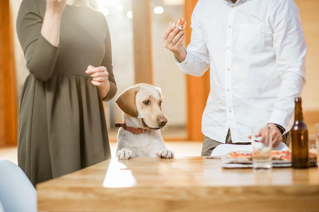 My boyfriend prepares meals for our dogs but not for me — should I walk away?