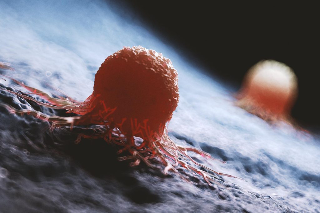 New Diet Reduces Growth of Most Dangerous Brain Tumors in Mice