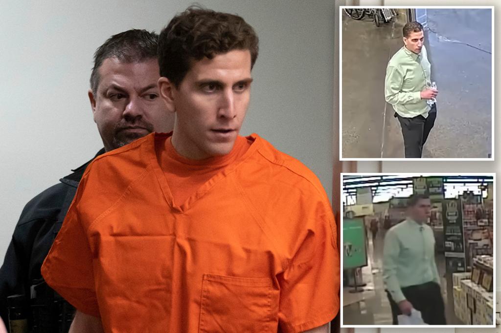 New footage reveals Bryan Kohberger shopping peacefully just hours after killing four students.