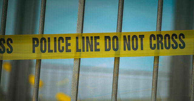 Newborn Discovered Safe in Dumpster at Texas Apartment Complex