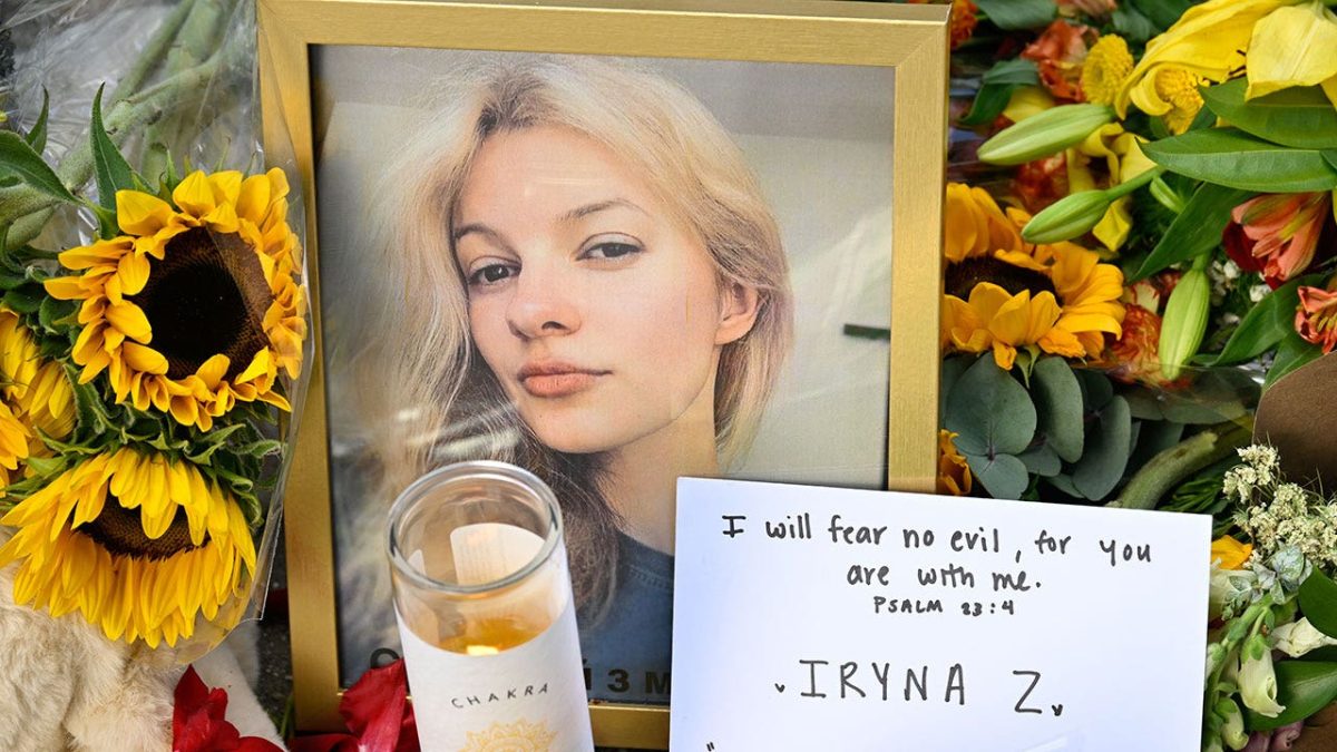 North Carolina legislators approve 'Iryna's Law' following stabbing incident on Charlotte train