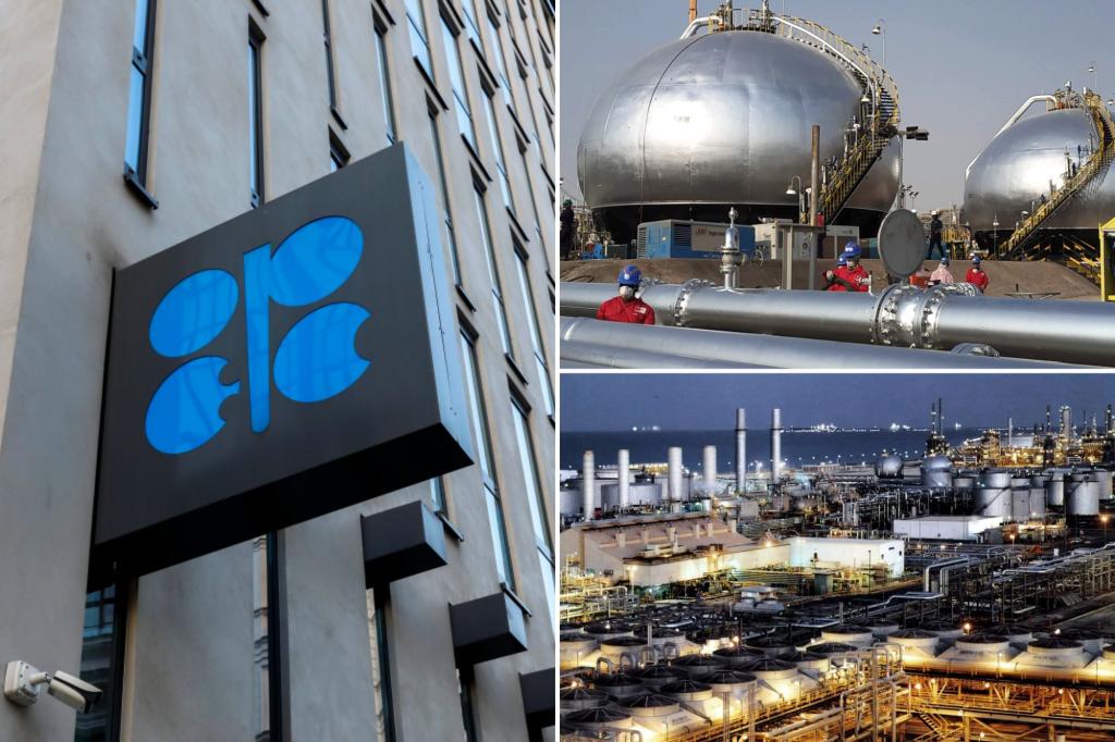 OPEC+ decides to increase oil production to reclaim market share