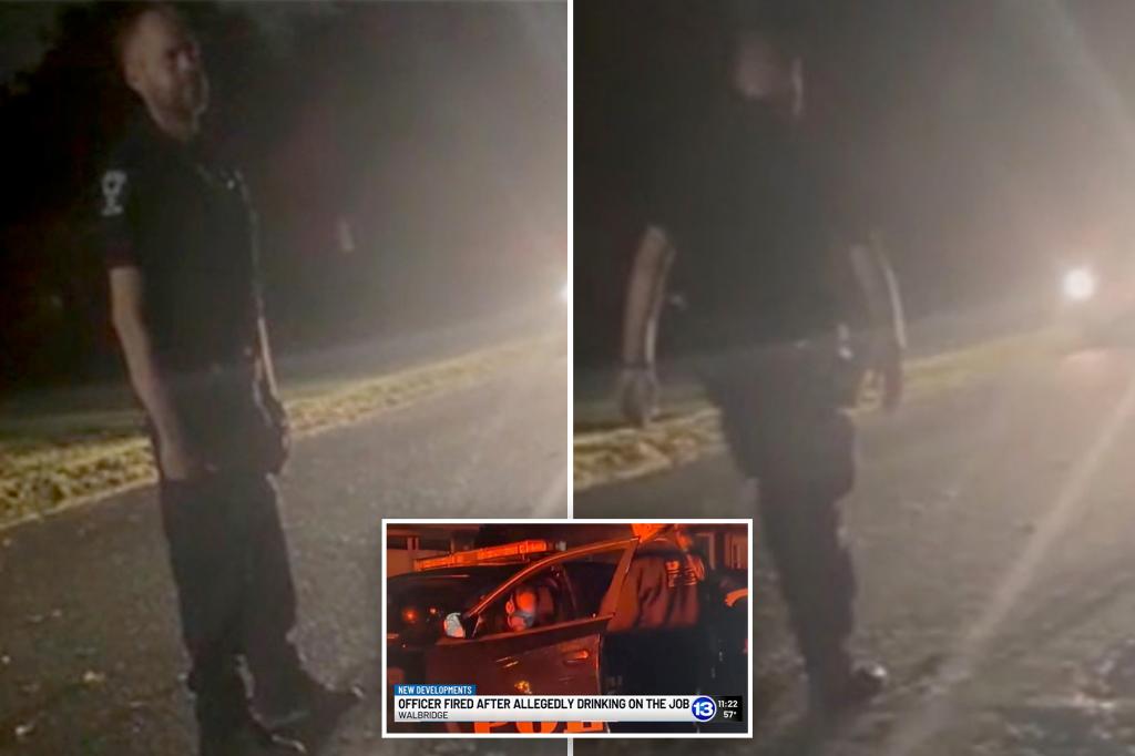 Officer dismissed for arriving at a resident's home intoxicated: surprising footage
