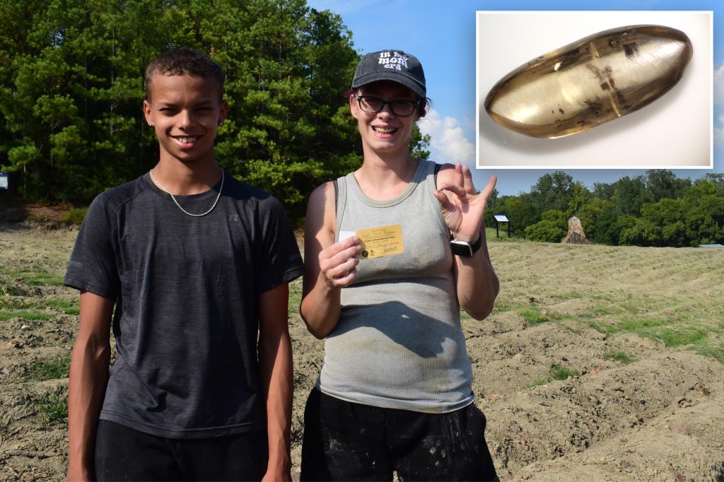 Oklahoma family finds nearly 3-carat diamond in state park using discount store tools