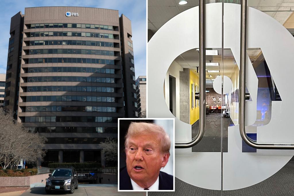 PBS plans to reduce its workforce by 15%, impacting 100 employees due to funding reductions.