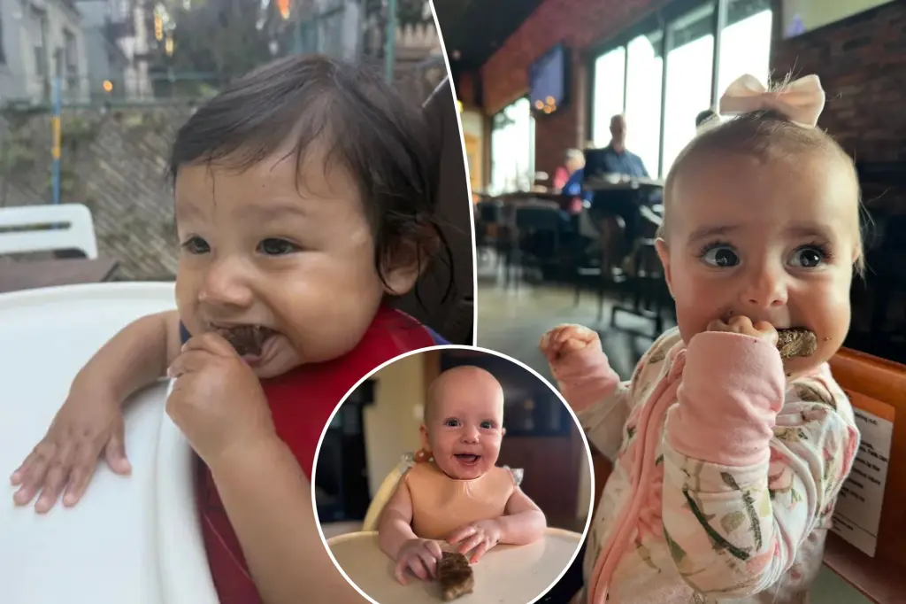 Parents embrace the 'carnivore baby' trend, but some experts are skeptical about infants eating steak and butter.