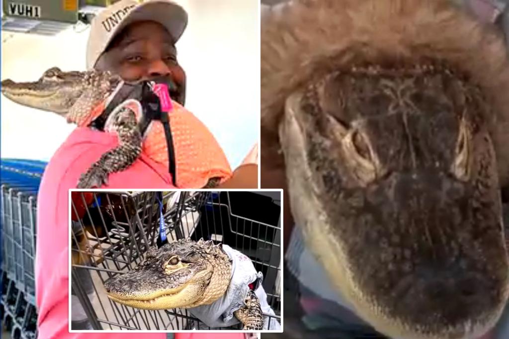 Pennsylvania pet owner Wesley Silva frustrated after his emotional support alligator is barred from Walmart, even though it gets special treatment at restaurants.