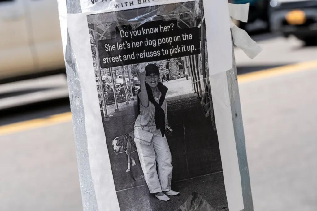 Person in NYC causing trouble doesn't pick up dog's waste on the Upper East Side, as angry neighbors spread her photo around the area.