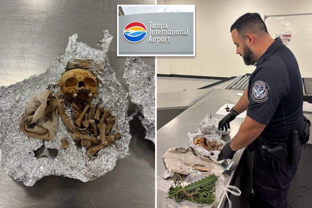 Possible human remains for rituals discovered in traveler's bag at Florida airport