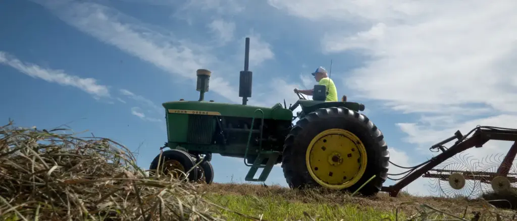 President Trump Is Restoring the Value of Work