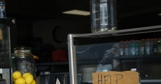 Private Payrolls Increase by 54,000 in August, Falling Short of Projections