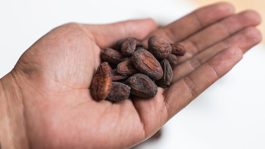 Recent research suggests cocoa extract could lower the risk of age-related diseases in older individuals.