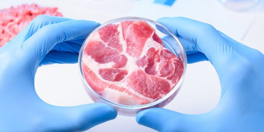 Reject synthetic: America deserves genuine meat, not lab-created alternatives