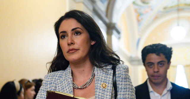 Rep. Ansari Searched for 'Constituent,' Justifies Spending Tax Money on Immigrants