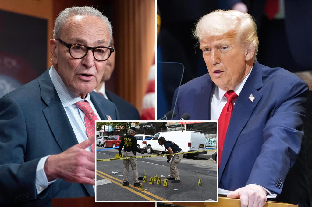 Republicans have more worries than Democrats regarding crime, immigration, and the economy.