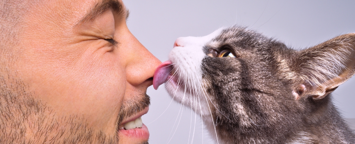 Research Finds the Most Effective Methods to Form a Chemical Bond with Your Cat