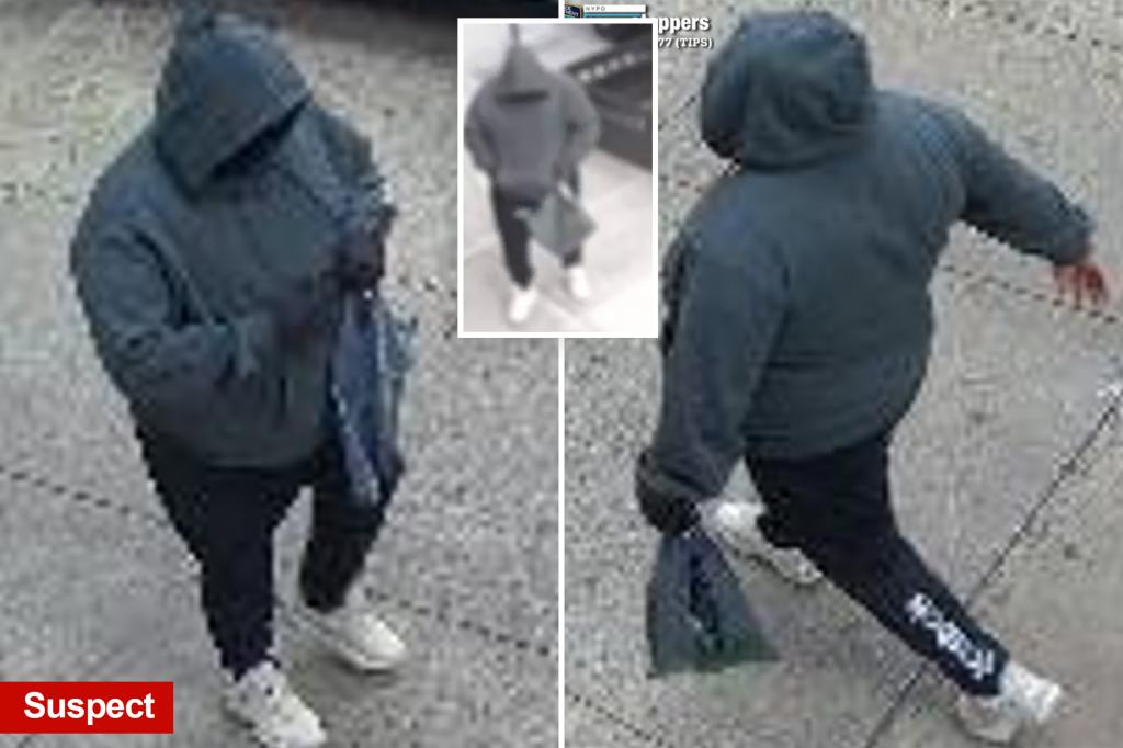 Robber takes $20,000 from 99-year-old landlord in New York City during the day, say police