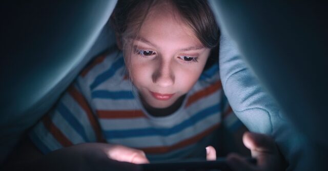 Roblox and Discord Played a Role in the Grooming and Suicide of a 15-Year-Old Boy