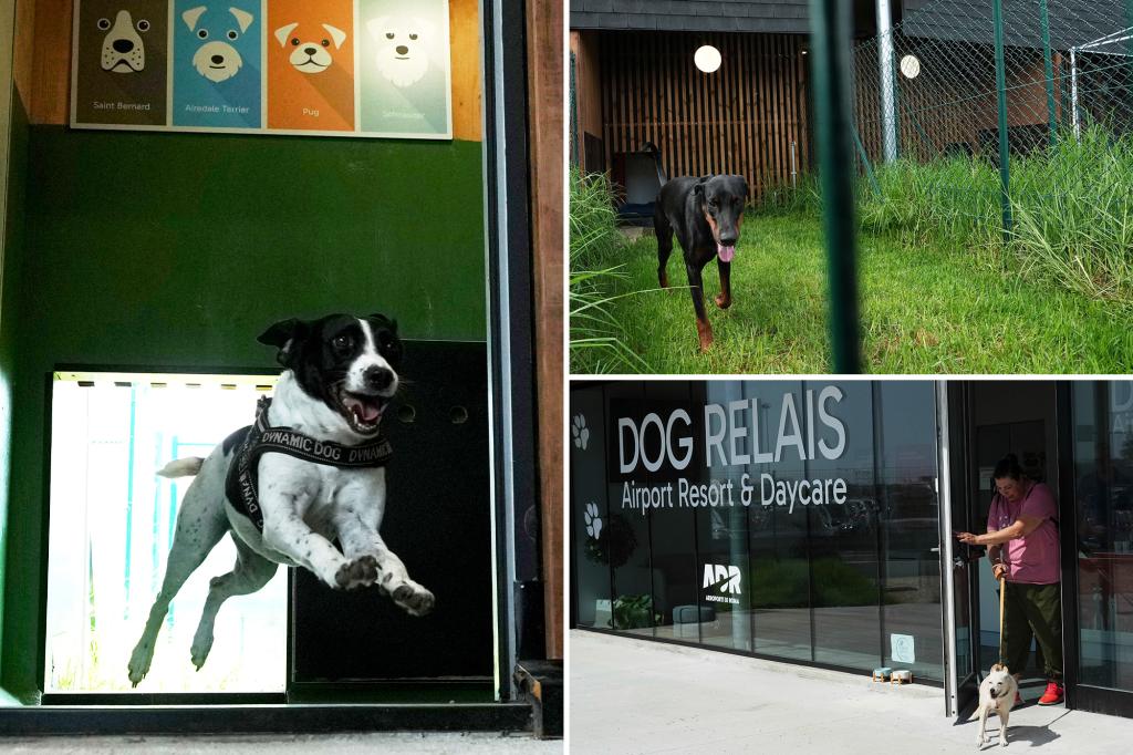 Rome's airport introduces a luxury dog hotel offering spa-like treatments.