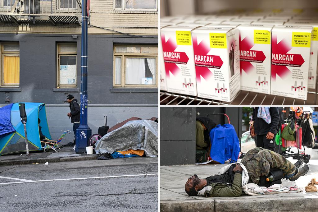 San Francisco vigilantes administering Narcan to unaware homeless individuals