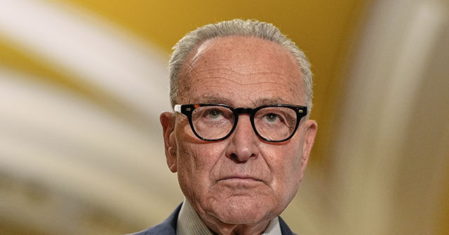 Schumer Will Take Responsibility for Government Shutdown