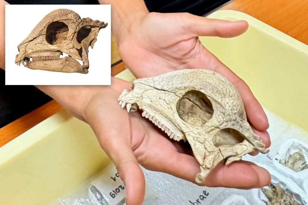 Scientists find nearly intact fossil of the earliest dome-headed dinosaur