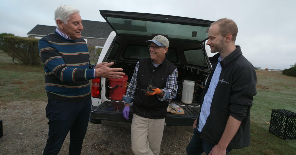 Scientists suggest that genetically modified mice might help reduce Lyme disease on Nantucket.