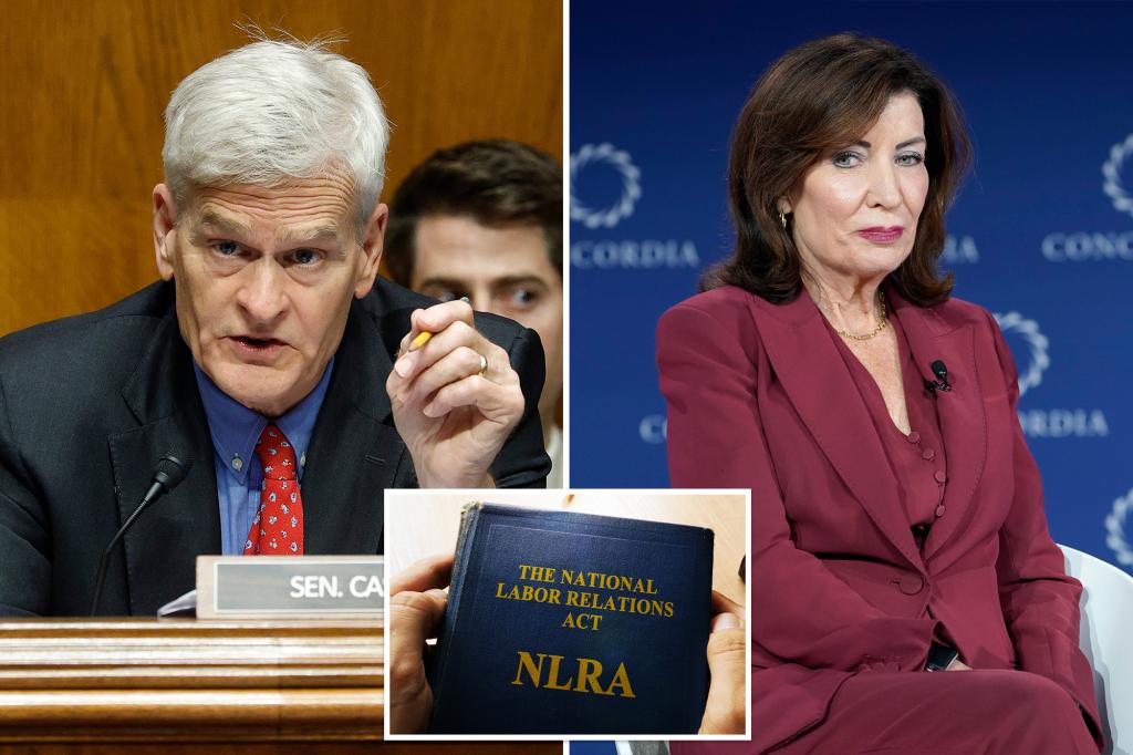 Sen. Bill Cassidy says Hochul is damaging workers with an unconstitutional labor law in New York.