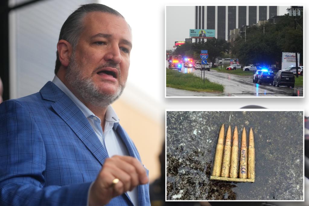 Sen. Ted Cruz calls for politicians to cease 'demonizing' ICE and CBP following the Dallas shooting.